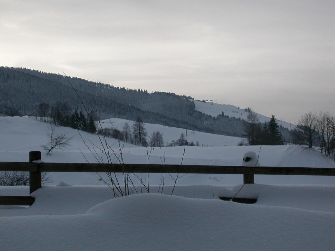 Gourmet-Hotel Gruenwald Leogang Bagian luar foto